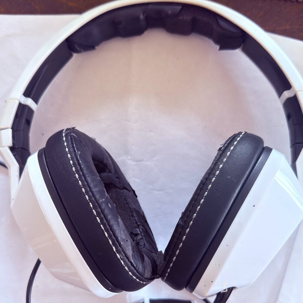 Skullcandy Bass Headphones